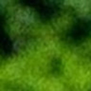 Meet your Posher, João guilherme